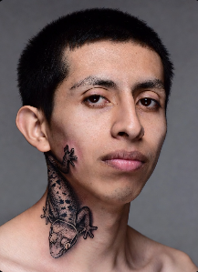 "GECKO"